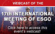 17th International Meeting of the European Society of Gynaecological Oncology (ESGO) 